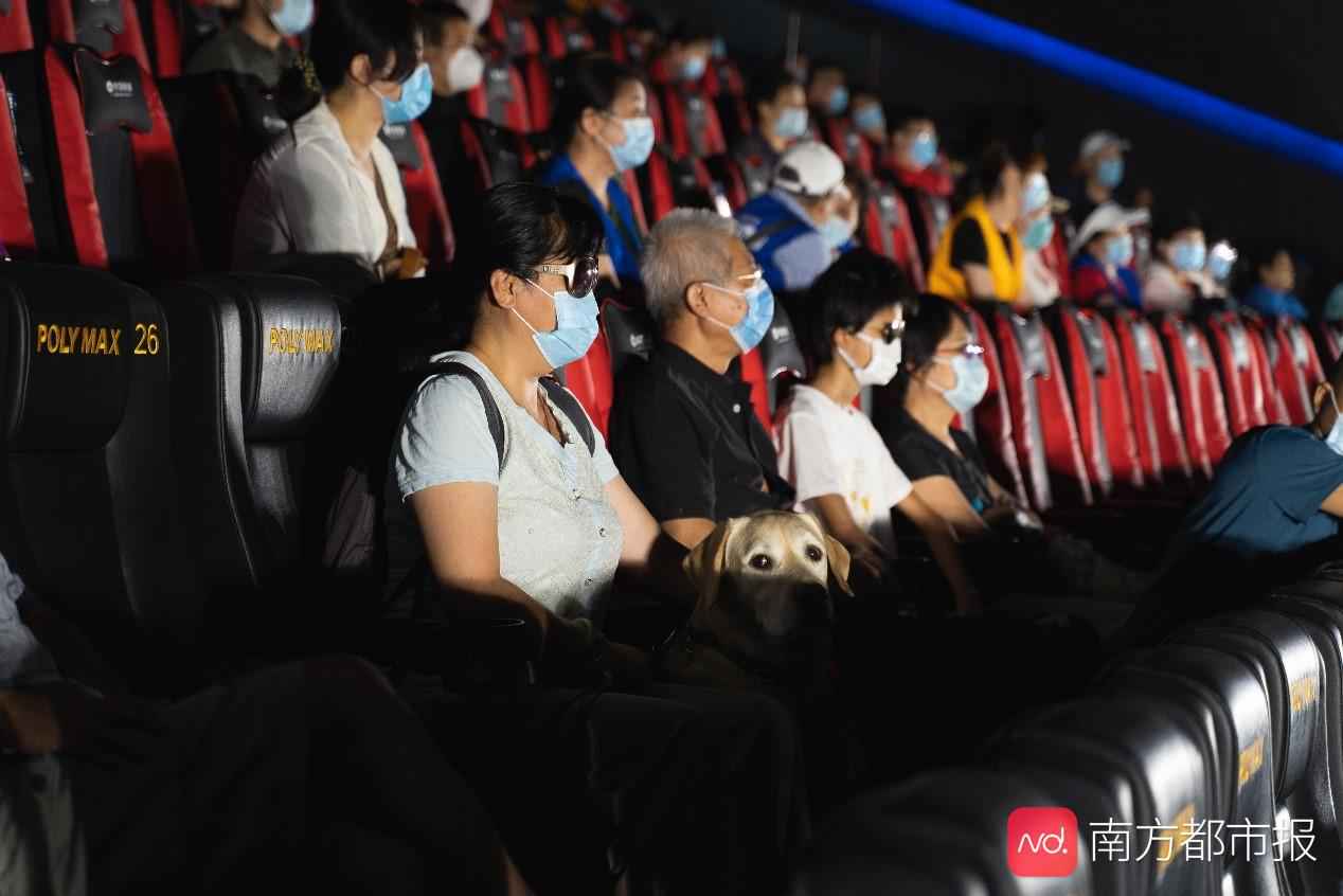 盲人的《八佰》：电影如何帮1700万盲人走入社会？