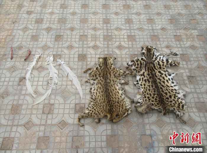  云南一村民非法捕杀、饲养野生动物被立案调查